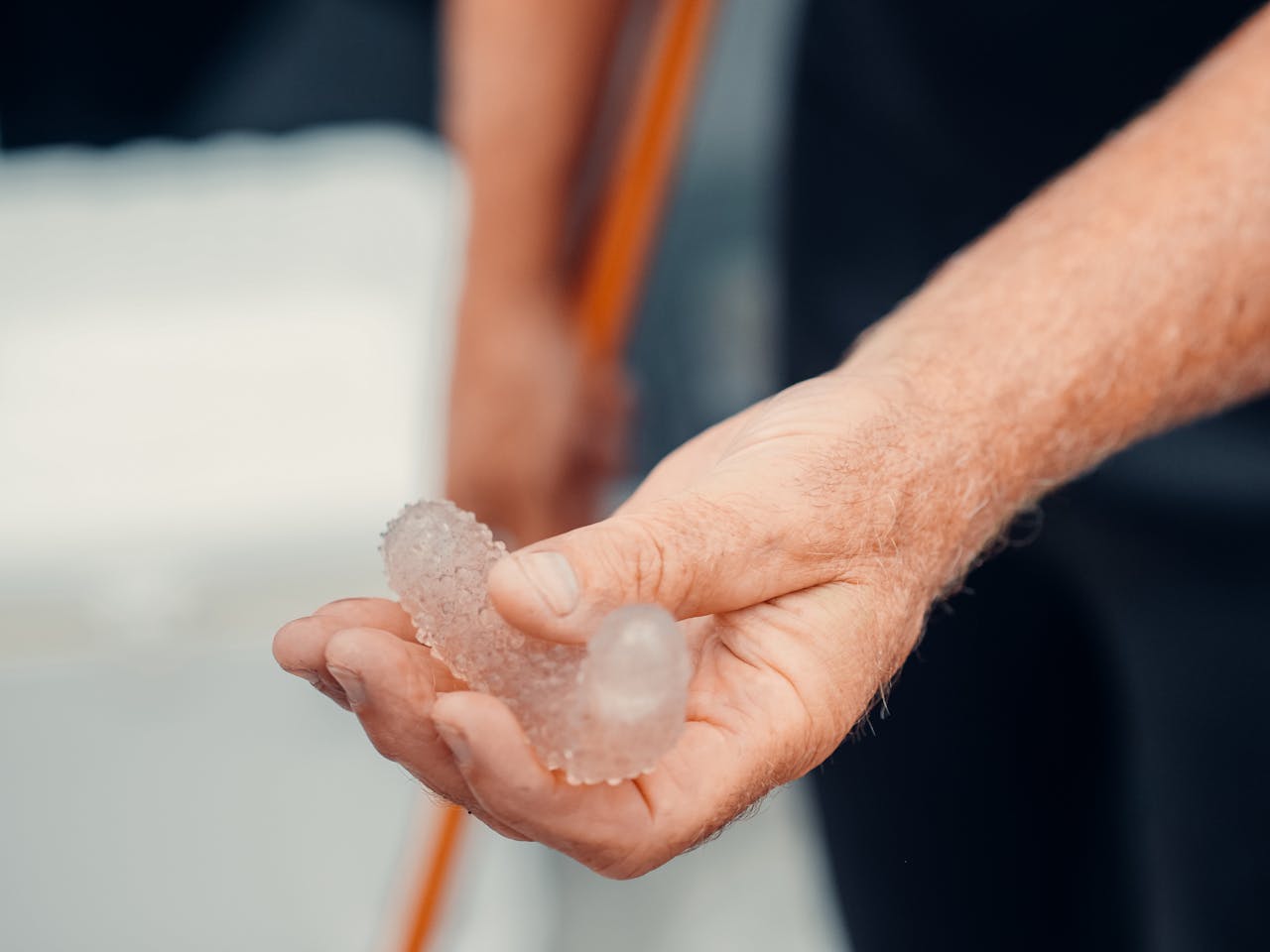 pexels photo 8824628.jpeg