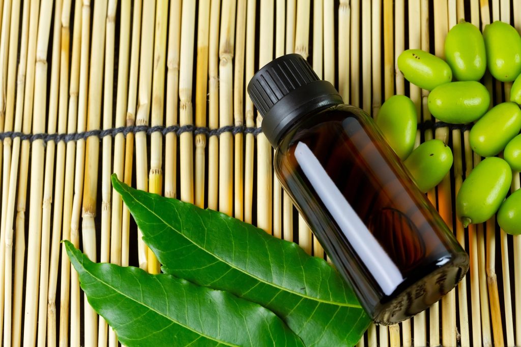 Neem: Nature’s Multi-Tasking Healer for Skin, Hair, Oral Care & Gardening